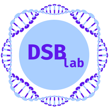 DSB Lab Logo